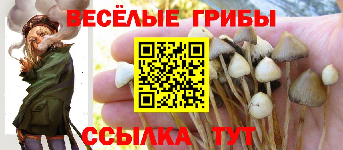 Каспийск  Псилоцибиновые грибы MAGIC MUSHROOMS  Галлюциногенные грибы Magic Shrooms  Вход с VPN 